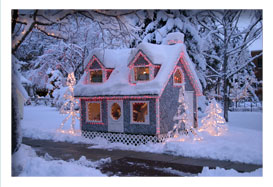 Santa's Village